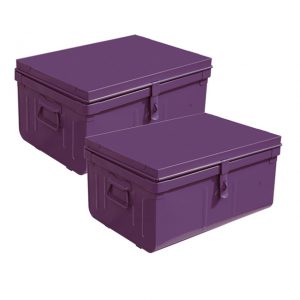 Le lot de 2 malles violettes - Castorama