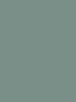 Gris couleur RAL #798f8d